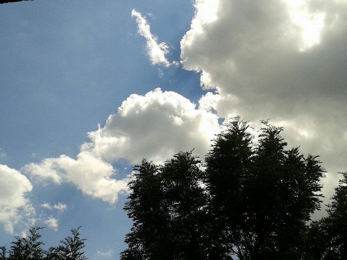 Praha-Žižkov