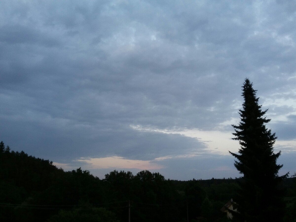 Druztová