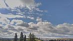Tachov