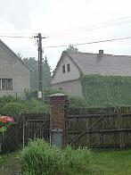 Třibřichy