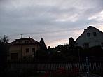 Třibřichy