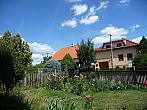 Třibřichy