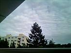 Borovina