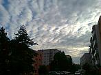 Borovina