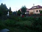 Třibřichy