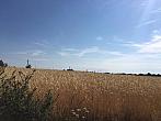 Hodonín