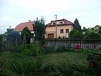 Třibřichy