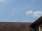 Třibřichy