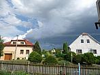 Třibřichy