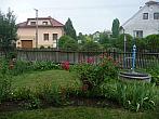 Třibřichy