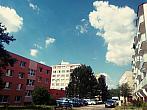 Borovina