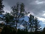 Borovina