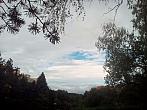 Borovina