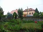 Třibřichy