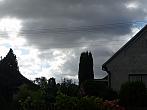 Třibřichy