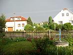Třibřichy