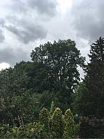 Olomouc