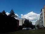 Borovina