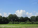 Neratovice
