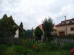 Třibřichy