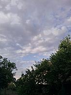 Vejvanovice