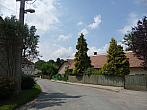 Třibřichy