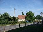 Třibřichy