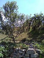 Skalité
