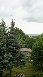 Kadaň