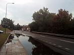Borovina