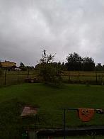 Skalité