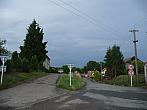 Třibřichy