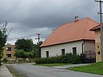Třibřichy