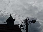Třibřichy