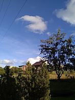 Skalité