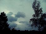 Borovina