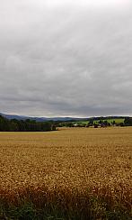 Ropice
