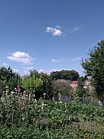 Vejvanovice