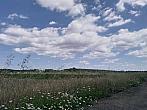 Vejvanovice