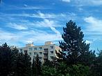 Borovina
