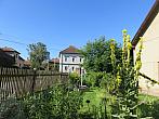 Třibřichy