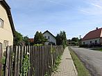 Třibřichy