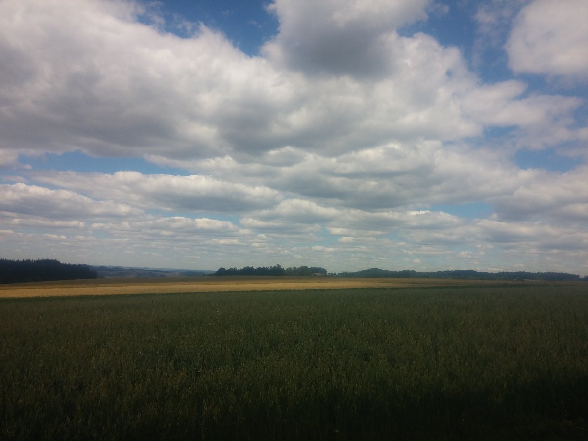 Kaliště