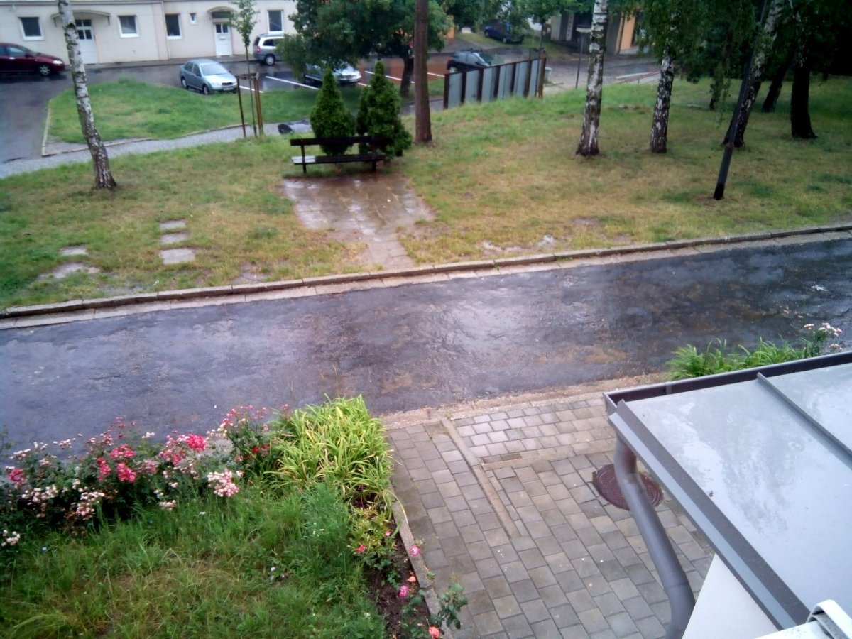 Borovina