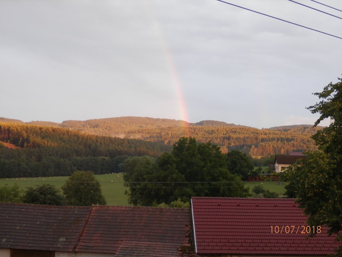 Dřešín