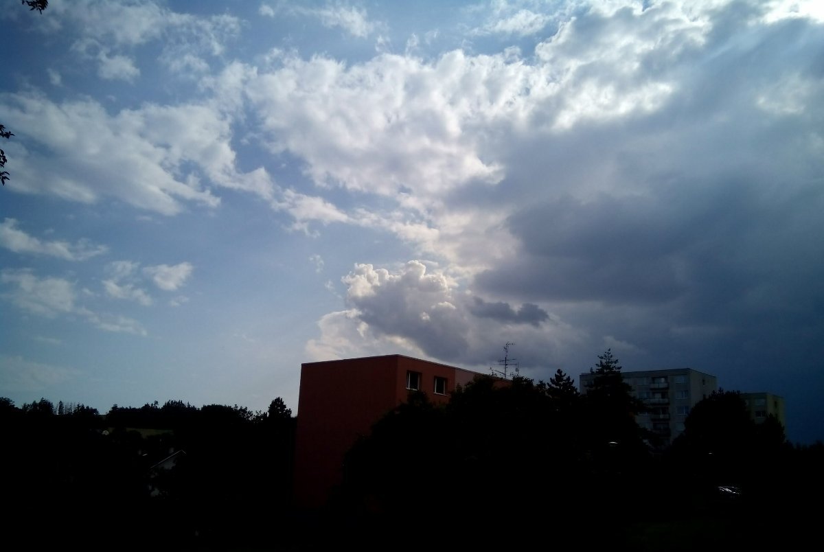 Borovina