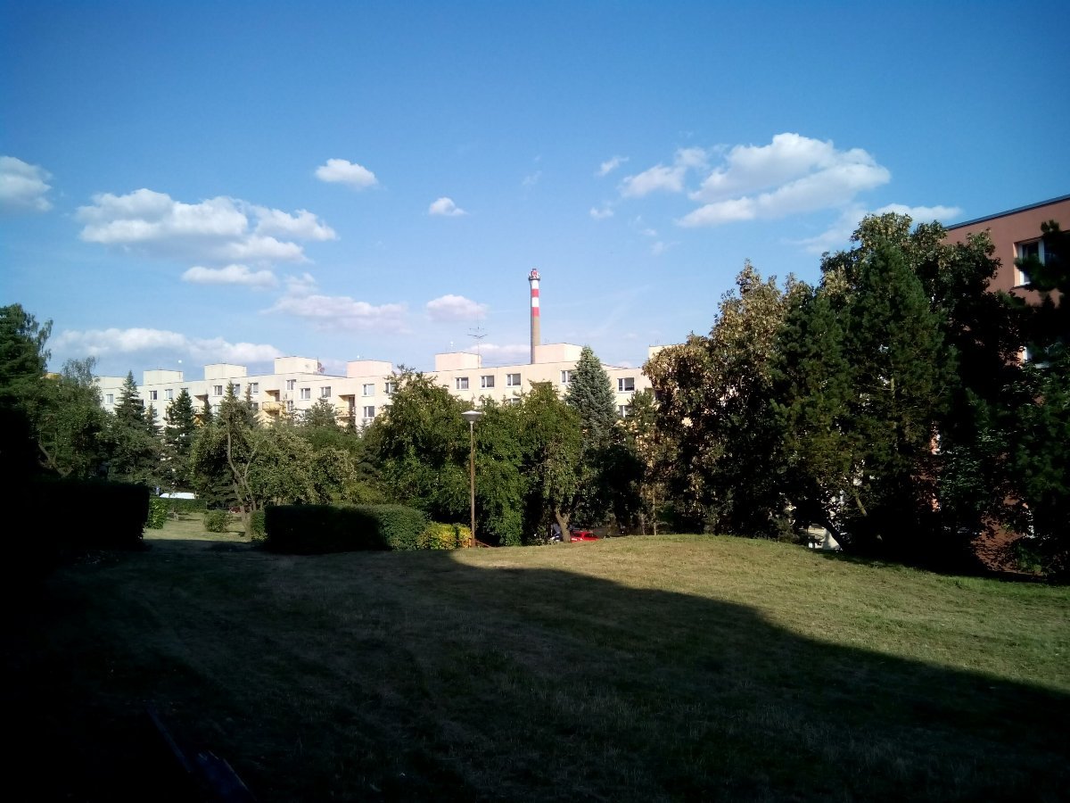Borovina