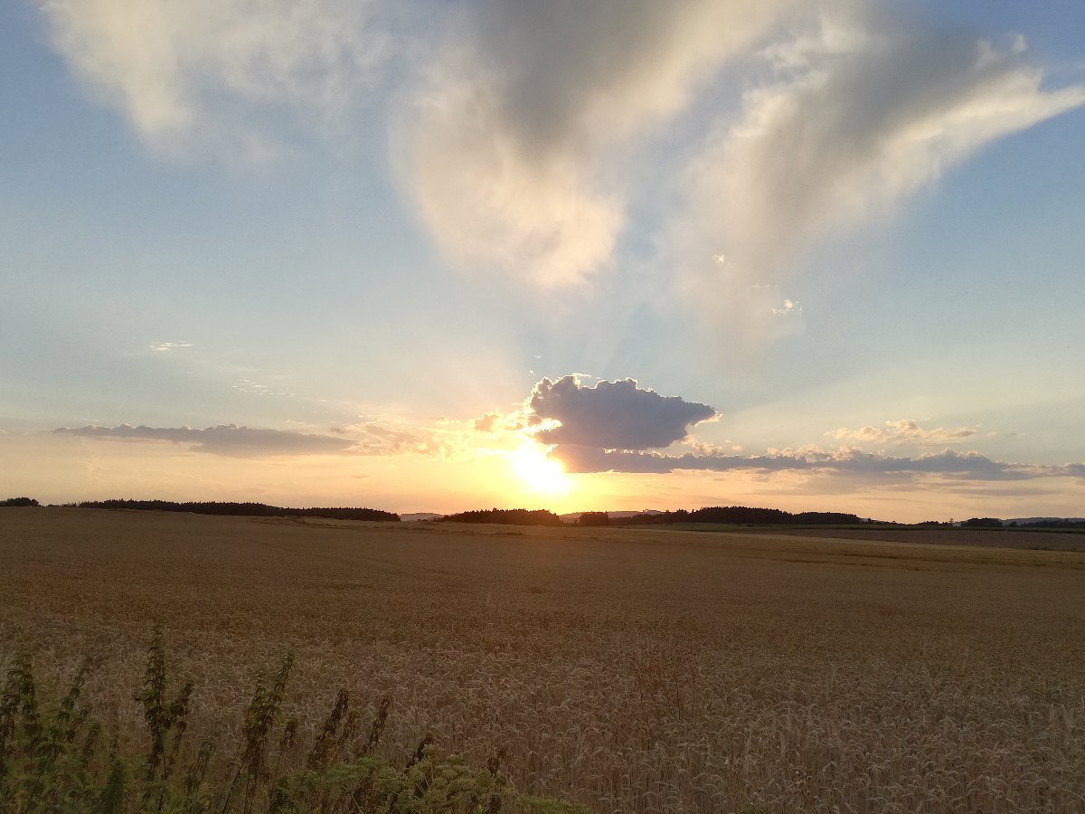 Hostákov