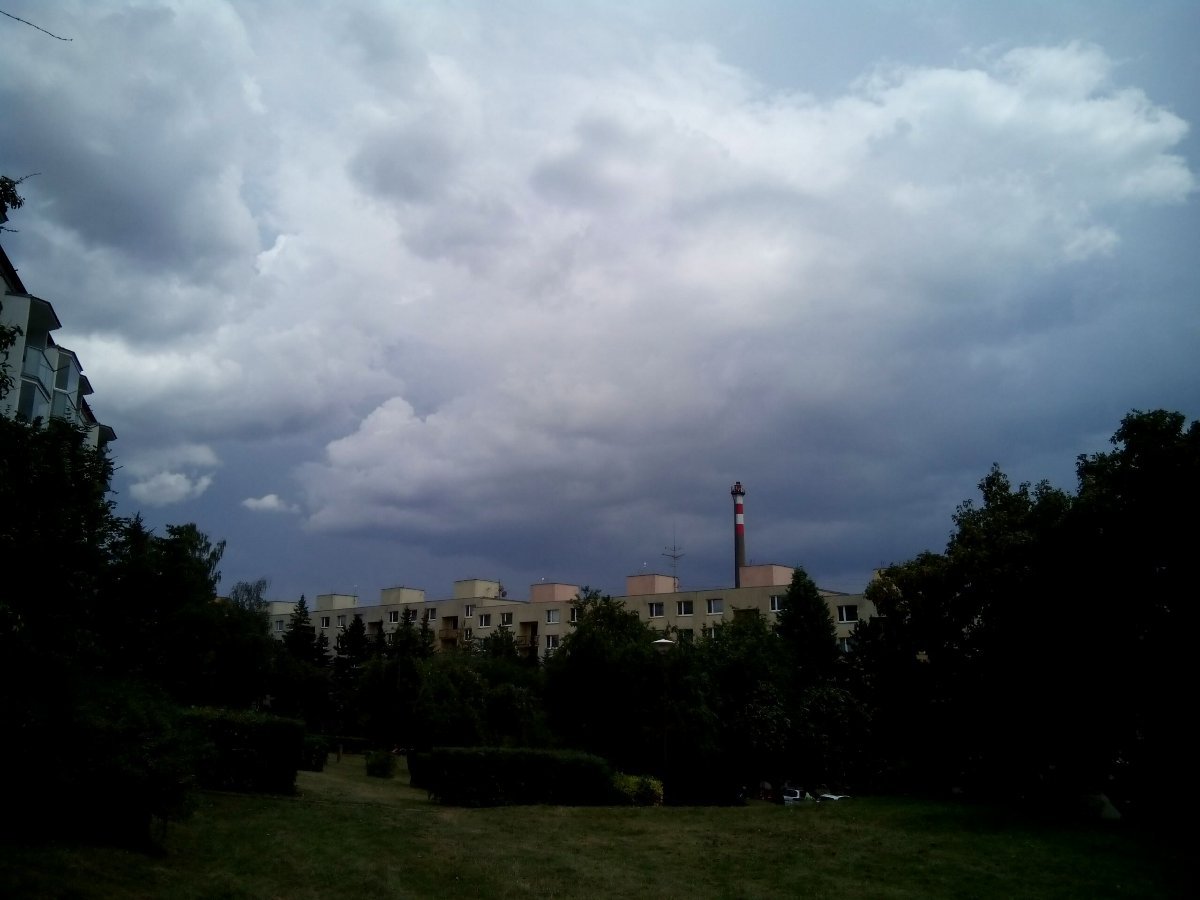 Borovina