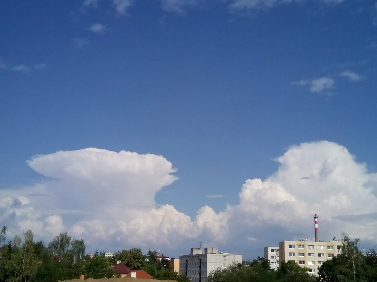 Borovina